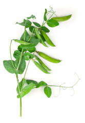 Isolated sweet green peas with green leaves. Top view.