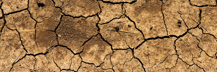 Texture of cracked dried soil. Dry ground with cracks. Brown rough surface of the soil during summer drought. Wide panoramic background for design. Ecology, climate change and global warming on Earth.