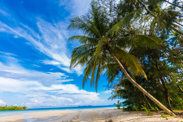 Beautiful summer beach with white sand turquoise ocean against blue sky with clouds and palm tree