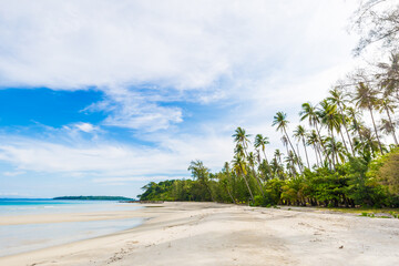 Beautiful summer beach with white sand turquoise ocean against blue sky with clouds and palm tree