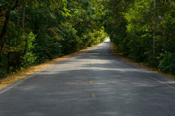 Fototapeta na wymiar Long asphalt road in Thailand forest.