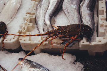 Fish market and its restaurants in Agadir, Morocco