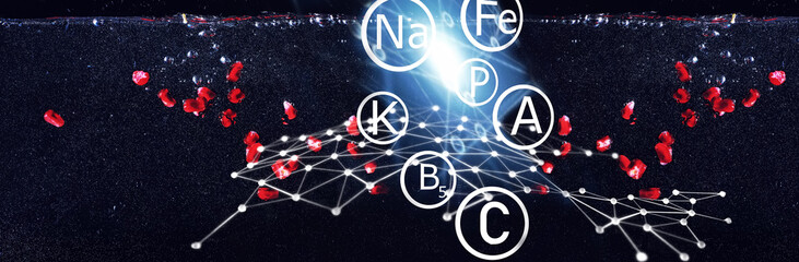 Water drops on ripe sweet pomegranate seeds. Fresh pomegranate background with copy space for your text. Vegan concept.