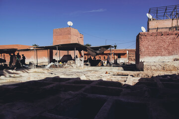 Traditional craft in Morocco, dying leather in tanneries of Marrakech