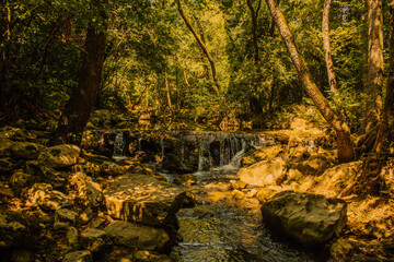 Nature