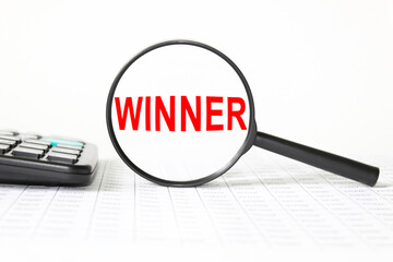 words DISCLAIMER in a magnifying glass on a white background. business concept