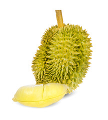 Durian isolated on white background