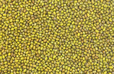 Green bean or mung bean background