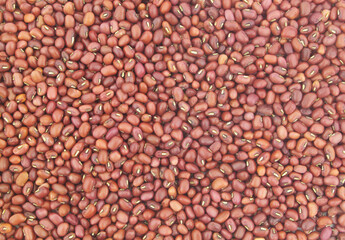 Adzuki red beans as background