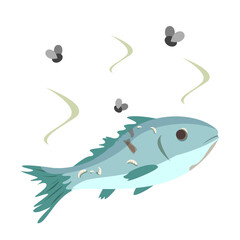 Rotten fish vector isolated. Damaged product, danger for health, concept of food poisoning. Stinky fish, flies flying around the rotten fish. - obrazy, fototapety, plakaty
