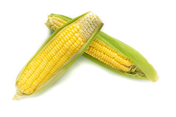 Fresh corn isolated on white background as package design element. vegan food concept. healthy eating