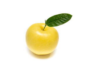 Organic Chinese pear or Korean snow pear isolated on white background. Ripe Japanese nashi have golden color, sweet taste, crisp and juicy. Delicious fresh fruit concept.