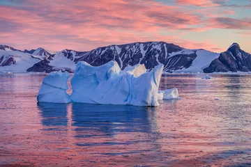 Tuinposter Images of ice bergs in Antartica © Ruzdi