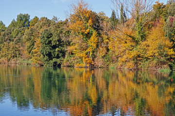 Autumn reflexes in a small lake