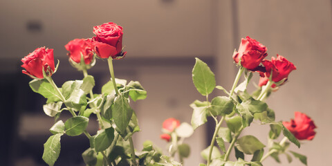 Beautiful bouquet of red roses with green leaves stands in vase on apartment table.