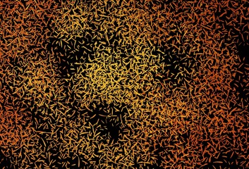 Dark Orange vector pattern with sharp lines.