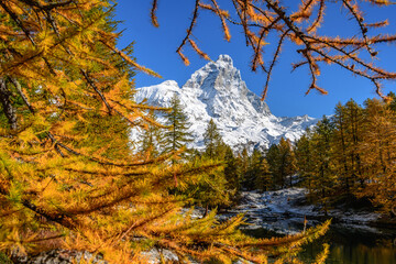 Cervino (Matterhorn) framed between autumn trees, Blu Lake (Lago Blu), Cervinia