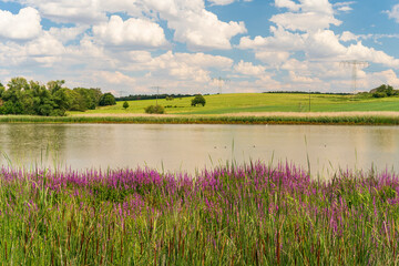 Talsperre Windischleuba bei Windischleuba, Landkreis Altenburger Land, Thüringen, Deutschland