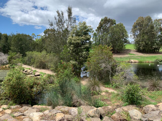 landscape in the summer