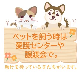 ペットを飼う時は愛護センターや譲渡会で