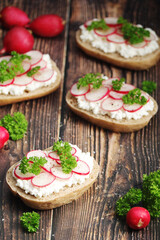 Sandwiches with fresh radishes and cotton cheese	
