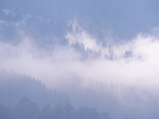 Carpatian mountains at the fog