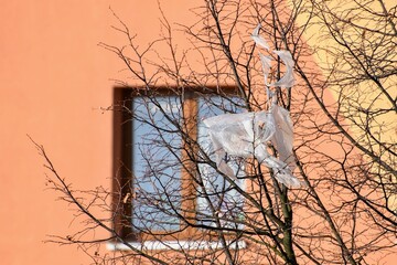Plastic bag caught on tree branches.