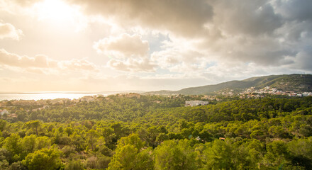 Landscape of a forest near Palma de Mallorca at sunset