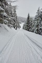 Road through the forest in the winter