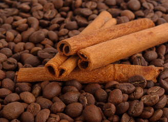 Cinnamon stick isolated in coffee beans

