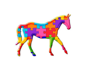 Horse Animal Jigsaw Autism puzzle illustration