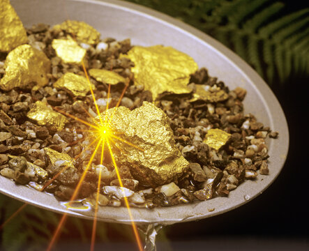 Gold prospecting 