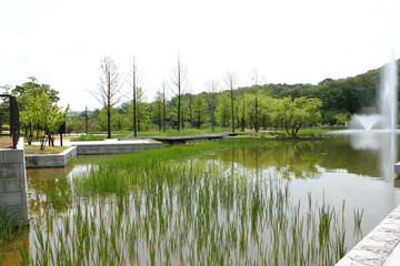 Ecological park with a lake.