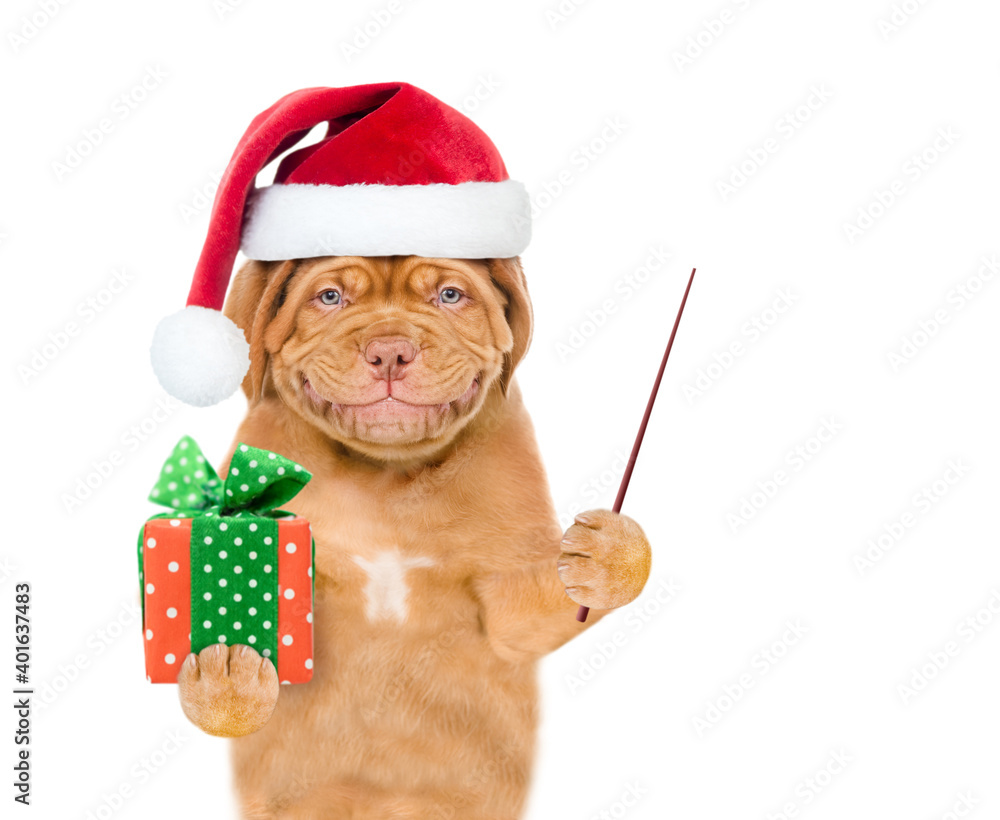 Poster happy puppy wearing a red christmas hat holds gift box and points away on empty space. isolated on w