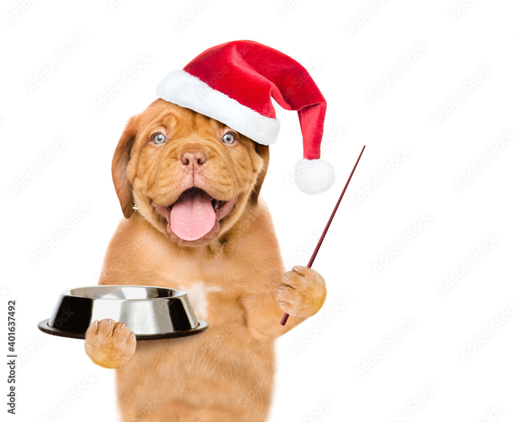 Poster Smiling puppy wearing red santa hat holds empty bowl and points away on empty space. isolated on white background