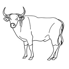 Ox Field Farming Animal Whiteboard Animation SVG Image