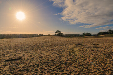sand drift Wekeromse zand