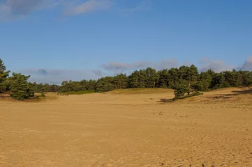 Fototapeten sand drift Wekeromse zand © jos