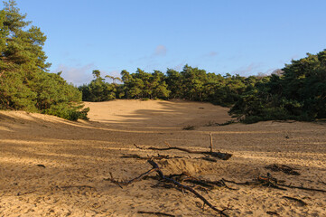 sand drift Wekeromse zand