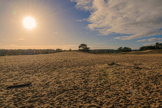 sand drift Wekeromse zand