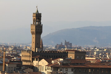 Fototapeta na wymiar Aerial view of Florence , Italy