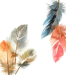 Watercolor bird feathes