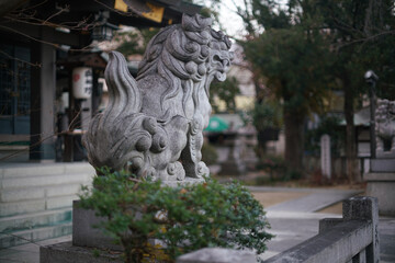 Fototapeta premium 神社の狛犬