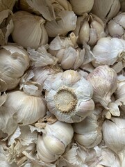 close up fresh garlic in market