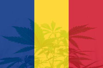 Weed Decriminalization in Romania. Medical cannabis in the Romania. leaf of cannabis marijuana on...