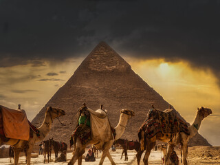 Giza, Egypt - January 29, 2020 - Tourist bustle with camels and people in front of a pyramid