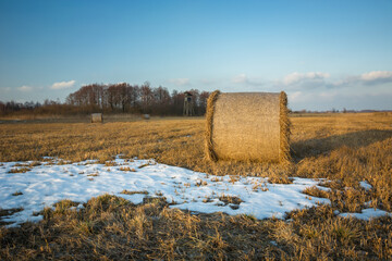 The last snow on the stubble with hay bales