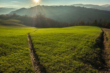 Beatiful light