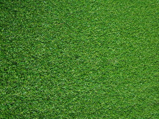 Obraz premium green grass background