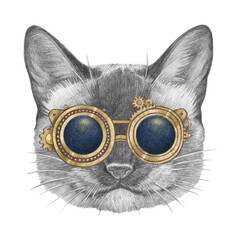 Portrait of Siamese Cat with goggles. Hand-drawn illustration.